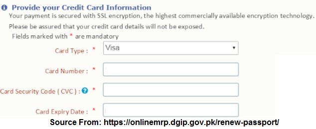 Renewal Application Payment