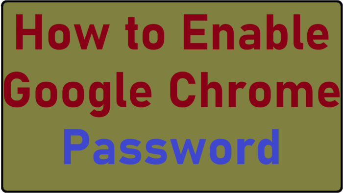 Google Chrome Password Manager