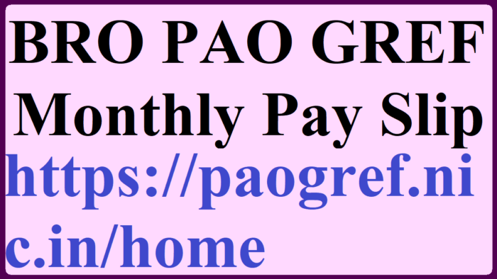 PAO GREF Monthly Pay slip