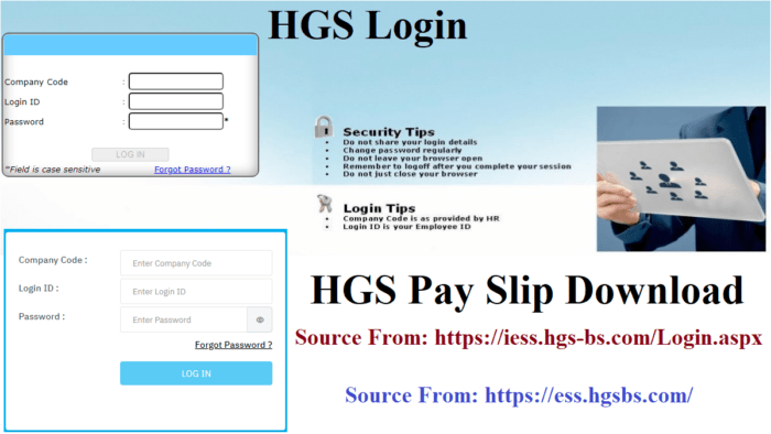 HGS Payslip